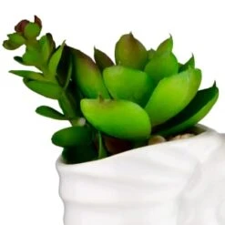 B&M Scandi Shore Small Shell Succulent 16 B&M Scandi Shore Small Shell Succulent -Kitchen and Tableware Store 380110 small shell succulent 2