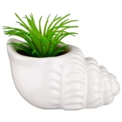 B&M Scandi Shore Small Shell Succulent 12 B&M Scandi Shore Small Shell Succulent -Kitchen and Tableware Store 380110 small shell succulent 4