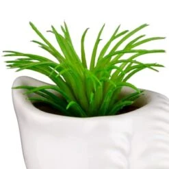 B&M Scandi Shore Small Shell Succulent 18 B&M Scandi Shore Small Shell Succulent -Kitchen and Tableware Store 380110 small shell succulent 5