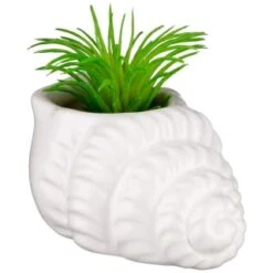 B&M Scandi Shore Small Shell Succulent 15 B&M Scandi Shore Small Shell Succulent -Kitchen and Tableware Store 380110 small shell succulent 6