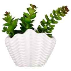 B&M Scandi Shore Small Shell Succulent 13 B&M Scandi Shore Small Shell Succulent -Kitchen and Tableware Store 380110 small shell succulent 7