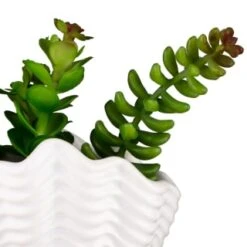 B&M Scandi Shore Small Shell Succulent 19 B&M Scandi Shore Small Shell Succulent -Kitchen and Tableware Store 380110 small shell succulent 8