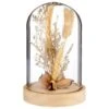 B&M Dried Flowers In Cloche - Natural -Kitchen and Tableware Store 380163 dried flowers in cloche