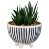 B&M Scandi Shore Stripe Succulent -Kitchen and Tableware Store 380604 scandi shore stripe succulent 3