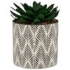 B&M Succulent In Botanist Print Pot - Green 1 B&M Succulent In Botanist Print Pot - Green -Kitchen and Tableware Store 380608 patterened pot with succulent