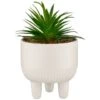 B&M Scandi Shore Succulent In White Pot 2 B&M Scandi Shore Succulent In White Pot -Kitchen and Tableware Store 380696 succulent in white pot