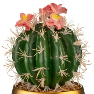 B&M Lush Paradise Cactus In Gold Pot 4 B&M Lush Paradise Cactus In Gold Pot - Image 2