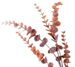 B&M Eucalyptus In Vase 5 B&M Eucalyptus In Vase -Kitchen and Tableware Store 387563 eucalyptus in vase 2