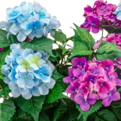 Bloom Basic Window Box - Hydrangea -Kitchen and Tableware Store 392827 basic window box hydrangea 2