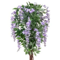 Bloom Wysteria Tree In Pot - Purple -Kitchen and Tableware Store 392870 4ft wysteria tree purple 2