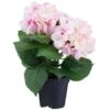Bloom Hydrangea In Pot - Pink 2 Bloom Hydrangea In Pot - Pink -Kitchen and Tableware Store 392961 hydrangea in pot pink