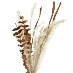 B&M Dried Flowers In Test Tube 5 B&M Dried Flowers In Test Tube -Kitchen and Tableware Store 394313 dried flowers in testube 2