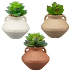 B&M Small Succulent Vase - Orange 7 B&M Small Succulent Vase - Orange -Kitchen and Tableware Store 394662 small vase succulent group