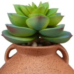 B&M Small Succulent Vase - Orange 6 B&M Small Succulent Vase - Orange -Kitchen and Tableware Store 394662 small vase succulent orange 2