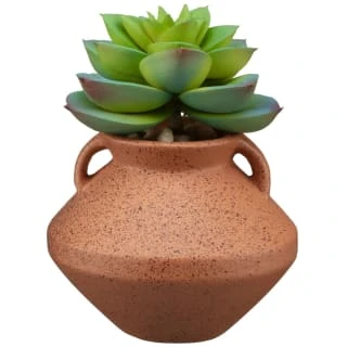 B&M Small Succulent Vase - Orange 3 B&M Small Succulent Vase - Orange