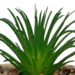 B&M Small Succulent Pot - Stone 6 B&M Small Succulent Pot - Stone -Kitchen and Tableware Store 394663 small succulent stone 2