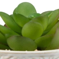 B&M Assorted Embossed Pots -Kitchen and Tableware Store 394664 embossed pot 6