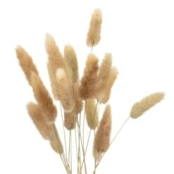 B&M Bunny Tails In Double Handled Vase 5 B&M Bunny Tails In Double Handled Vase -Kitchen and Tableware Store 394705 bunny tails in handled vase 2