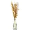 B&M Pampas & Leaf In Glass Vase -Kitchen and Tableware Store 394707 pampas and leaf in glass vase 3