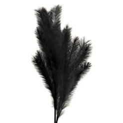B&M Pampas Stem - Black 6 B&M Pampas Stem - Black -Kitchen and Tableware Store 395541 pamas stem black 2